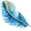 cropped-blog-feather.png